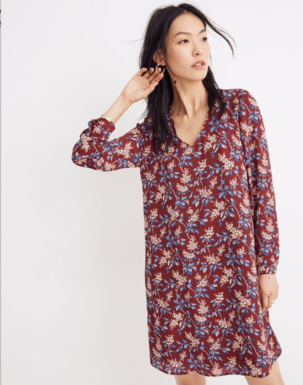 Madewell Button-Back Dress in Antique Floral Burgundy Long Sleeve Size Large